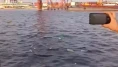 Mersin'den Gazze'ye destek: Denize gıda şişeleri!