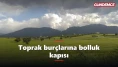 Toprak burçlarına bolluk kapısı: Boğa, Başak ve Oğlak'a müjde