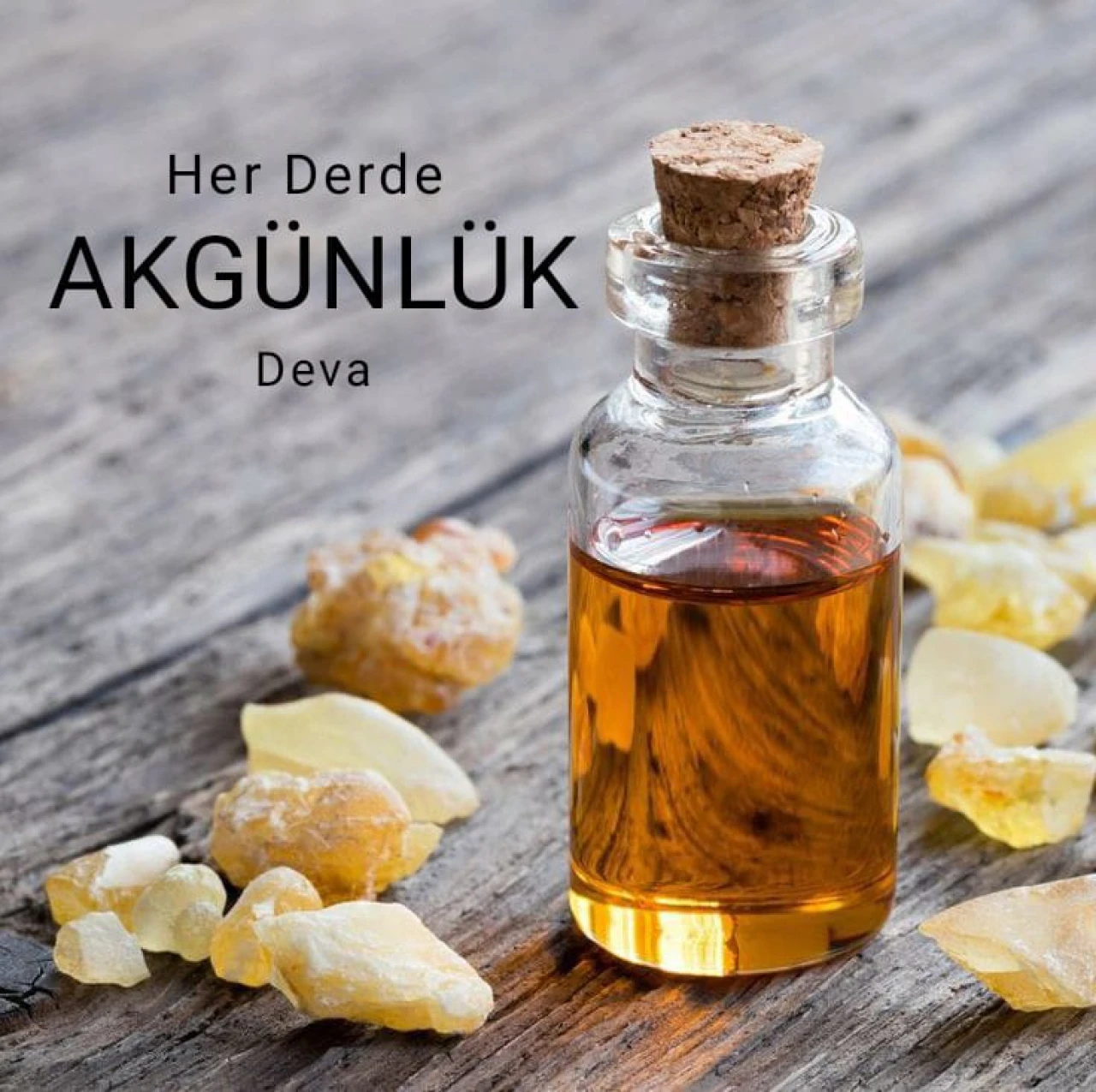 Her Derde Deva AKGÜNLÜK: Akgünlük nedir, sağlığa faydaları neler?