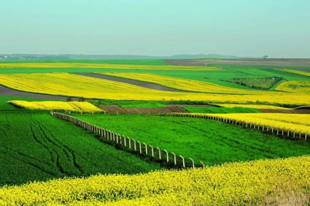 🚀 Arsa Sahipleri Dikkat: İmar Değişikliğinde Yeni Dönem Başladı! Değer Artış Payının %90'ı Kamuya Aktarılacak