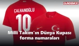 Milli Takım'ın Dünya Kupası forma numaraları belli oldu