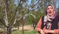 Kayısı üreticisi çiftçiden ekonomi isyanı: “Gübreyi, mazotu borçla al!”