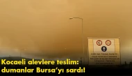 Kocaeli alevlere teslim: dumanlar Bursa’yı sardı!
