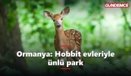 Ormanya nerede, giriş ücretli mi? Hobbit evleriyle ünlü park