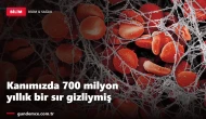Kanımızda 700 milyon yıllık bir sır gizliymiş