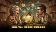 "Neden başkaları esnediğinde biz de esnemek zorunda kalıyoruz?": Bulaşıcı Esneme