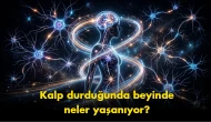 "Ölümden sonra yaşam mı?": Neden beynimiz son saniyelerde bir 'film şeridi' izletiyor?