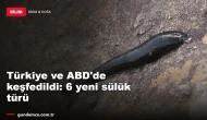 Türkiye ve ABD'de keşfedildi: 6 yeni sülük türü