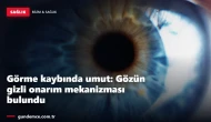 Görme kaybında umut: Gözün gizli onarım mekanizması bulundu