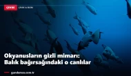 Okyanusların gizli mimarı: Balık bağırsağındaki o canlılar
