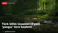 Türk bilim insanları 4 yeni 'yangıç' türü keşfetti