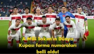 A Milli Takım'ın Dünya Kupası'ndaki Forma Numaraları Açıklandı!