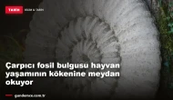 Çarpıcı fosil bulgusu hayvan yaşamının kökenine meydan okuyor