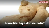 Zencefilin faydaları nelerdir? Neye iyi gelir?