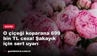 O çiçeği koparana 699 bin TL ceza! Şakayık için sıkı uyarı
