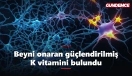 Japon bilim insanları beyni kendini onaran K vitamini geliştirdi