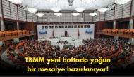 TBMM’de mesai başlıyor: İşte yeni haftanın sıcak gündemi