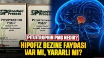 Pituitrophin PMG nedir, Pituitrophin PMG ne işe yarar: Hipofiz bezine faydaları neler?