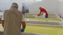 Bakanlık, 25 yeni hileli ürünü açıkladı: Tereyağından, sucuğa birçok üründe sahtecilik...