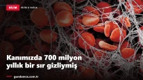 Kanımızda 700 milyon yıllık bir sır gizliymiş