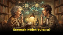 "Neden başkaları esnediğinde biz de esnemek zorunda kalıyoruz?": Bulaşıcı Esneme