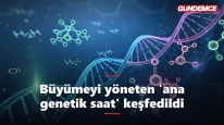 Büyümeyi yöneten 'ana saat' keşfedildi: Gelişimin sırrı çözülüyor