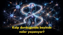 "Ölümden sonra yaşam mı?": Neden beynimiz son saniyelerde bir 'film şeridi' izletiyor?