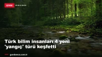 Türk bilim insanları 4 yeni 'yangıç' türü keşfetti