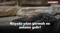 Rüyada yılan görmek ne anlama gelir? İşte tabiri