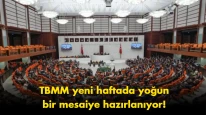 TBMM’de mesai başlıyor: İşte yeni haftanın sıcak gündemi