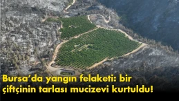 Bursa’da yangın felaketi: bir çiftçinin tarlası mucizevi kurtuldu!