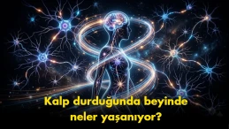 "Ölümden sonra yaşam mı?": Neden beynimiz son saniyelerde bir 'film şeridi' izletiyor?
