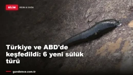Türkiye ve ABD'de keşfedildi: 6 yeni sülük türü
