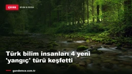 Türk bilim insanları 4 yeni 'yangıç' türü keşfetti