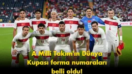 A Milli Takım'ın Dünya Kupası'ndaki Forma Numaraları Açıklandı!