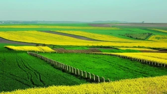 🚀 Arsa Sahipleri Dikkat: İmar Değişikliğinde Yeni Dönem Başladı! Değer Artış Payının %90'ı Kamuya Aktarılacak