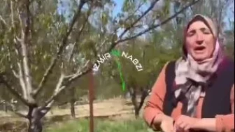 Kayısı üreticisi çiftçiden ekonomi isyanı: “Gübreyi, mazotu borçla al!”