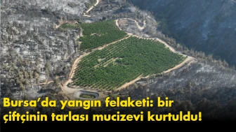 Bursa’da yangın felaketi: bir çiftçinin tarlası mucizevi kurtuldu!