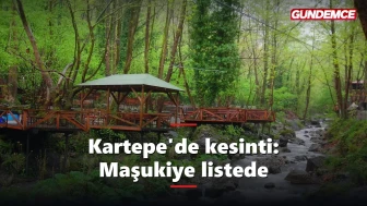 Kartepe'de 8 Haziran elektrik kesintisi: Maşukiye de listede