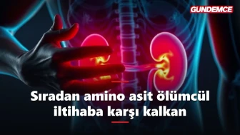 Sıradan bir amino asit ölümcül iltihaba karşı hayat kurtardı