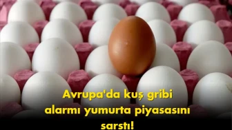 Türk yumurtasına talep patladı: Avrupa’dan gelen şok haber