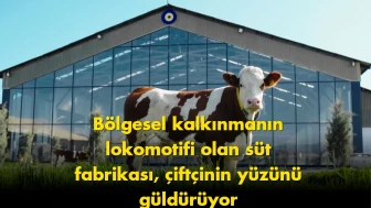 Süt fabrikası gündem oldu: Herkes aynı soruyu soruyor