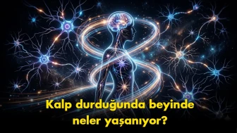 "Ölümden sonra yaşam mı?": Neden beynimiz son saniyelerde bir 'film şeridi' izletiyor?