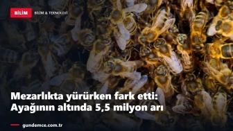 Mezarlıkta yürürken fark etti: Ayağının altında 5,5 milyon arı