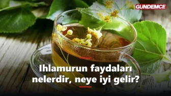 Ihlamurun faydaları nelerdir? Neye iyi gelir?