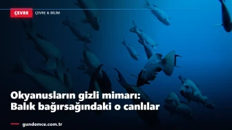 Okyanusların gizli mimarı: Balık bağırsağındaki o canlılar