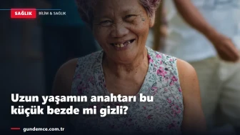 Uzun yaşamın anahtarı bu küçük bezde mi gizli?