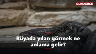 Rüyada yılan görmek ne anlama gelir? İşte tabiri