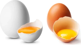 Doğanın Vitamin Deposu: Yumurtanın Sağlığa Bilimsel Faydaları