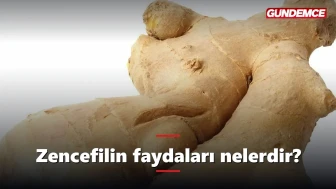 Zencefilin faydaları nelerdir? Neye iyi gelir?
